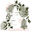 Eolia Thérapies